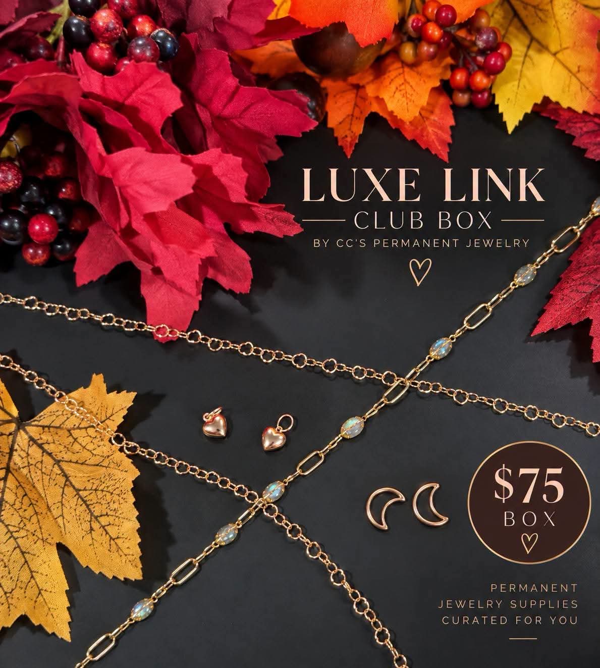 The $75 Luxe Link Club box: gold chains with opal-look stations, rose gold heart charms and moon connectors on a dark background with fall leaves.